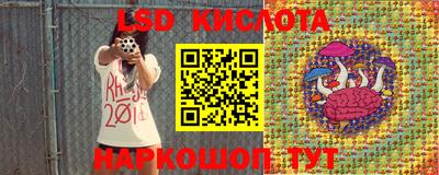 стаф Обнинск