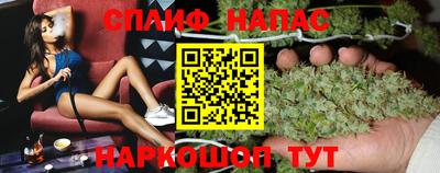 стаф Обнинск