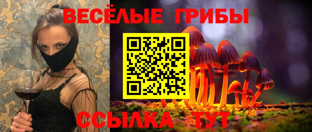 где купить   Псилоцибиновые грибы Magic Shrooms  Вход с VPN  Сердобск  Псилоцибиновые грибы GOLDEN TEACHER 