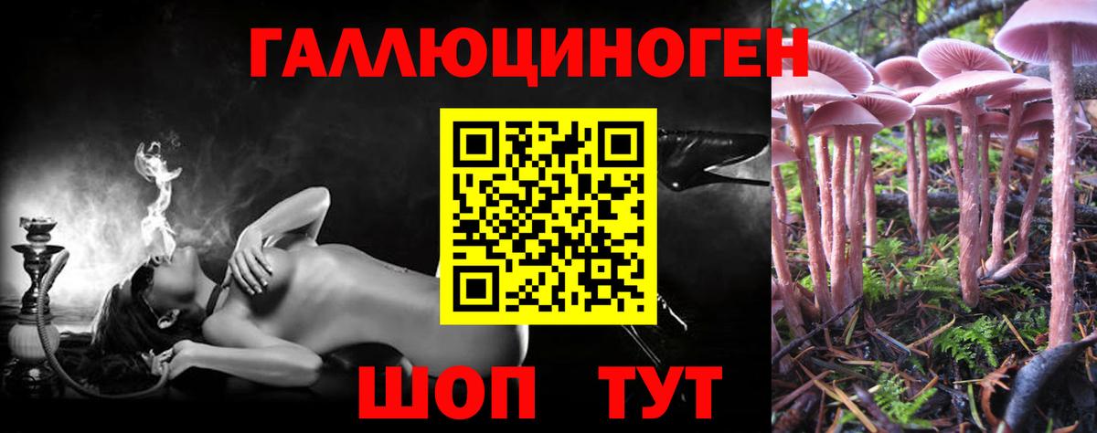 Псилоцибиновые грибы GOLDEN TEACHER Сердобск